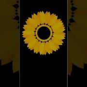 Sunflower Design Using Turtle In Python Programming Shorts Youtubeshorts