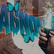 MAGNOLIA 4K CS2 EDIT