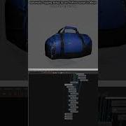 A Demo Of The Auto Rigging Setup Python Script I Wrote In Maya A Simple Rig For A Sports Bag