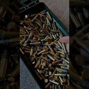 Storing 3000 Rounds Of 22lr Ammo Shorts