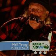 Neil Young Heart Of Gold Live At Farm Aid 2024