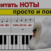 Как ЧИТАТЬ НОТЫ С ЛИСТА на ПИАНИНО