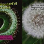 Plant Patterns By Nathan Olson Read Aloud For Kids All About Plants Ms Rhone