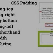 8 Css Pading Padding In Css Padding Top Padding Bottom Padding Right Padding Left