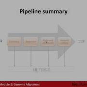 Genome Alignment