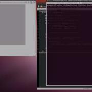 WebSocket Test