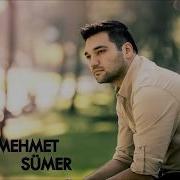 Mehmet Sümer Suzan Suzi