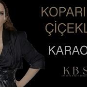 Sertab Erener Koparılan Çiçekler Kaliteli Akustik Karaoke