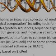 IBB 4 Biopython