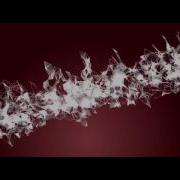 Plexus Intro