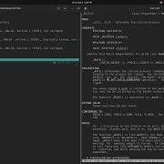 Hello World In X64 Assembly Linux