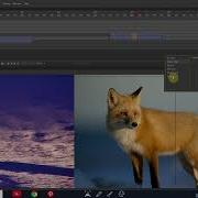 Adobe Animate CC Tutorial Photos Slideshow Animation