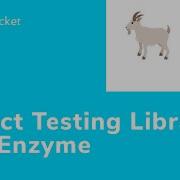 React Testing Library Vs Enzyme