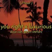 1 Hour Doja Cat Gwen Stefani You Right X Luxurious TikTok Remix One Hour Version