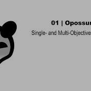 Opossum Tutorial 01 Single And Multi Objective Optimization