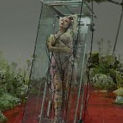 Lady Gaga Stupid Love Demo
