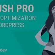 Smush Pro Plugin Free Download Setup Boost Image Speed Like A Pro