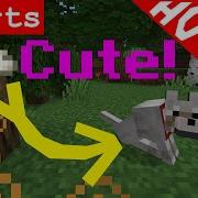 Minecraft How To Find And Tame A Pet Dog Tutorial