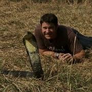 Удивительная королевская кобра Deadly 60 Серия 2 BBC Earth
