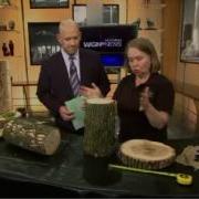 Emerald Ash Borer ID And Information
