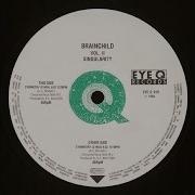Brainchild Symmetry P Mix