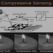 Toward Compressive Camera Networks