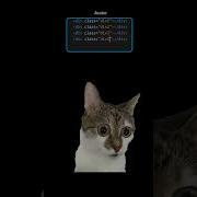 Junior Vs Senior Codelife Css Html Frontend Coding Webdevelopment Webdesign