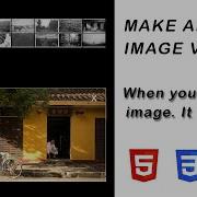 Make An Image Viewer With HTML CSS Vanilla JavaScript