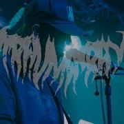 Trauma Ray Outbreak Fest Autumn 2024