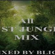 All Just Jungle Mix Mixed By Blick