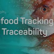 Seafood Tracking And Traceability From Bait To Plate With Blockchain