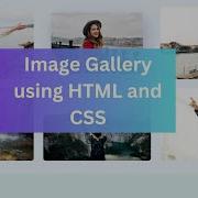 Responsive Image Gallery Using HTML CSS Grid