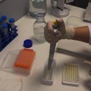 How To Use ExoTEST Kit Kit For Exosome Capture And Quantification