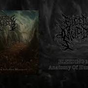 BLEEDING MURDER Anatomy Of Human Torture FULL