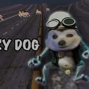 Crazy Dog Axel F 강아지 리믹스 Crazy Frog Axel F Dog Version