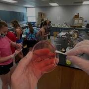 Lab Epidemic Simulation