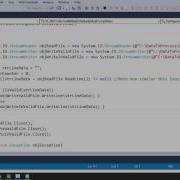 The SSIS Script Task