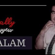 BALLY HAJYYEW BALAM BALLY HAJYYEW HALK AYDYMLARY MP3 AUDIO SONG JANLY SESIM