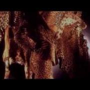 Dead Or Alive Pete Burns Far Too Hard Live At Birmingham Odeon July 1 1985