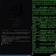 Lightning Fast Builds And Deployments With ThinWARs