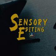 4 Sensory Editing Techniques