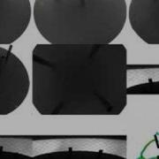 Multi Camera Fly Tracking System