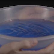 Where Do Waves Come From Earth Science