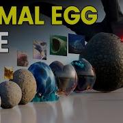 3D Eggs Size Comparison Animal Egg Size