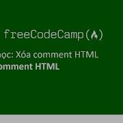 5 Basic HTML And HTML5 Uncomment HTML Freecodecamp Org Việt Nam