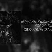 ярослав евдокимов колодец Slowed Reverb