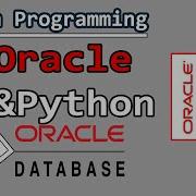 CRUD Operation In Python Python Programming