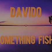 Davido Something Fishy New Lyrics Video