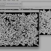 FIJI For Quantification Advanced Segmentation