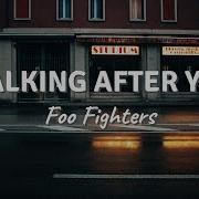 WALKING AFTER YOU By Foo Fighters Lyric Video